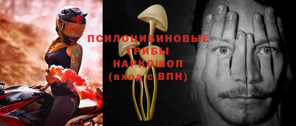прущие грибы Алексеевка