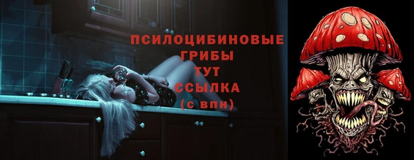 прущие грибы Алексеевка