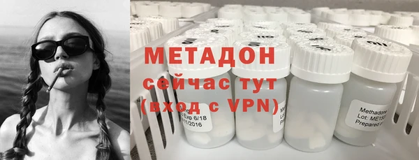 прущие грибы Алексеевка