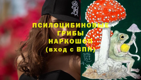 прущие грибы Алексеевка