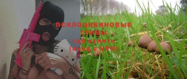 мескалин Алексин
