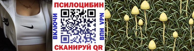 Псилоцибиновые грибы мухоморы  магазин продажи   Муром 